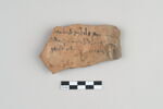 ostracon, image 1/3