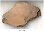 ostracon, image 3/3