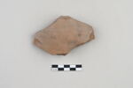 ostracon, image 1/3