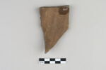 ostracon, image 2/3