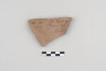 ostracon, image 1/3