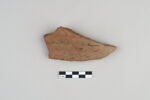 ostracon, image 1/3