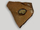 ostracon, image 3/5