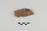 ostracon, image 2/3