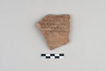 ostracon, image 1/3