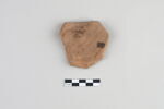 ostracon, image 2/3