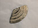coupe  ; disque, image 2/2