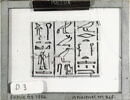 papyrus, image 1/2