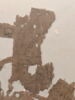 papyrus, image 1/2
