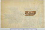 papyrus documentaire, image 3/4