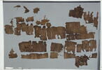 papyrus, image 2/2