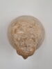 vase canope, image 3/9