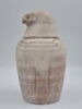vase canope, image 7/9