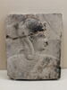 modèle de sculpteur  ; relief mural, image 1/5