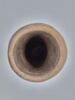 vase canope, image 4/9
