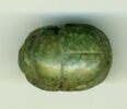 scarabée, image 1/2