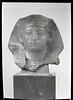 Tête de sphinx d'Amenemhat III, image 2/2