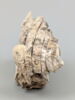 pion de jeu, image 2/8
