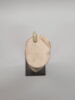 modèle de sculpteur, image 3/6