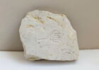 modèle de sculpteur, image 2/2