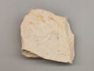 modèle de sculpteur, image 1/2