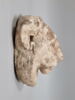 modèle de sculpteur, image 2/5