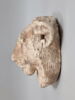 modèle de sculpteur, image 3/5