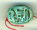 scarabée, image 1/4