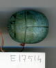 scarabée funéraire, image 1/2