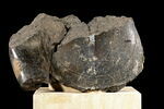 statue, image 1/5