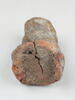 sceau, image 1/5
