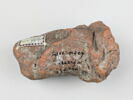 sceau, image 3/5