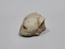 figurine érotique, image 5/6