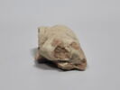 figurine érotique, image 6/6