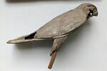 sarcophage de faucon  ; statuette, image 1/2