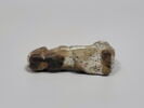 figurine érotique ; amulette, image 5/5