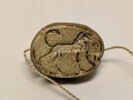 scarabée, image 1/6