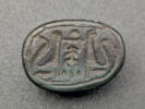 scarabée, image 1/2