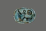 scarabée, image 1/2