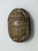 scarabée, image 2/2