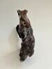 figurine ; masque de momie ; fragmentaire, image 7/7