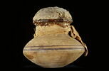 jarre biconique ; vase miniature ; couvercle de vase ; avec contenu, image 2/3