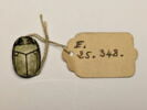 scarabée, image 2/3