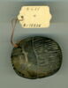scarabée funéraire, image 1/2