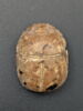 scarabée, image 2/3