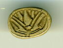 scarabée, image 1/2