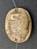 scarabée, image 2/3