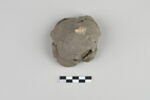 bouchon de jarre en calotte ; empreinte de sceau, image 1/4