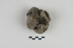 bouchon de jarre en calotte ; empreinte de sceau, image 4/4