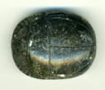 scarabée, image 1/4